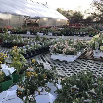 The Mustard Seed Landscaping & Garden Center - Nurseries & Gardening Near Me - Chaska, Minnesota