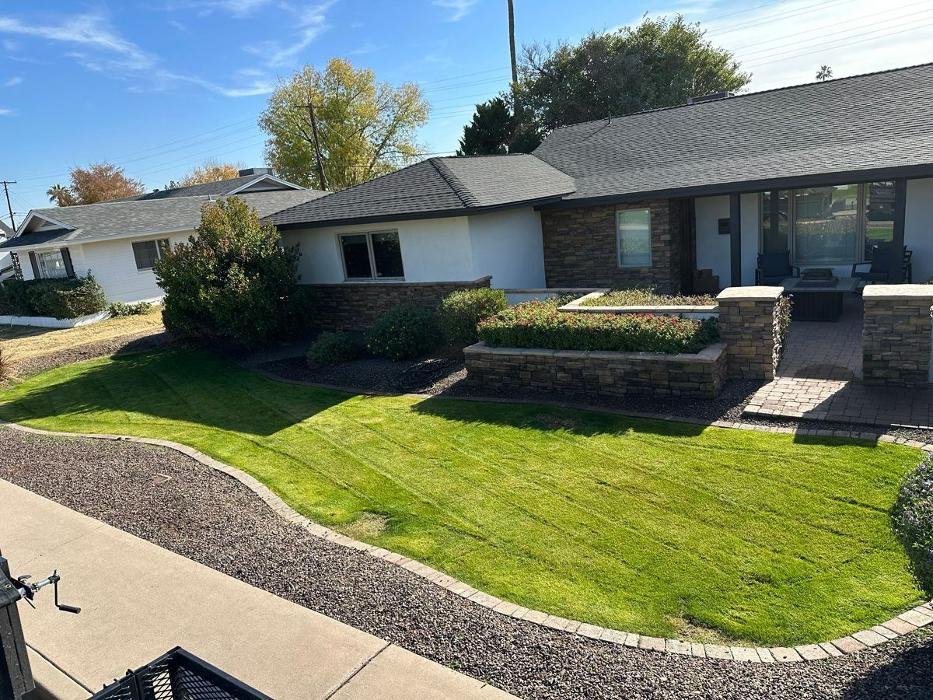 Modern turf and paver design by Zenith Landscaping AZ