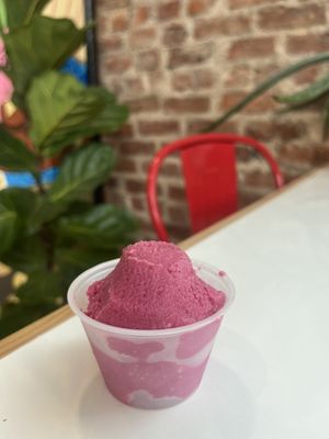 Mr P's Homemade Ice Cream by null