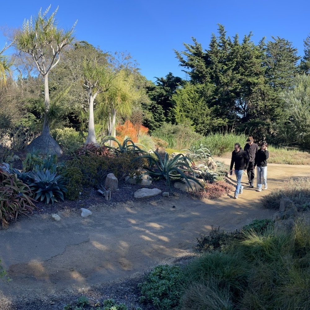 Seaside Gardens - Nurseries & Gardening Near Me - Carpinteria, California Seaside Gardens - Nurseries & Gardening Near Me - Carpinteria, California