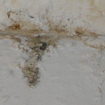 Eric Goodman Realty Corp - The moldy cracked ceiling never repaired until a hole opened and cockroaches emerged. - Real Estate Services Near Me - New York, New York Eric Goodman Realty Corp - The moldy cracked ceiling never repaired until a hole opened and cockroaches emerged. - Real Estate Services Near Me - New York, New York