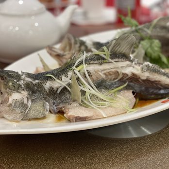 New Century Restaurant - Steamed Fish - Dim Sum Near Me - Markham, Ontario