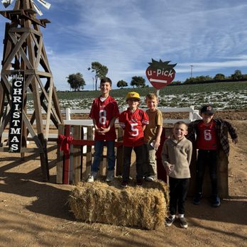 Kenny's Strawberry Farm - The beautiful farm - Fruits & Veggies Near Me - Fallbrook, California