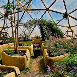 Joyful Journey Hot Springs - Greenhouse