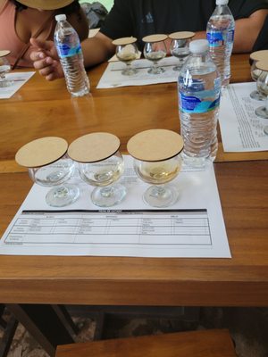 Matices Hotel de Barricas by null