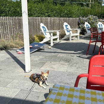 The Pequot - Dog friendly, ample seating and lawn games! - Dance Clubs Near Me - Fishers Island, New York The Pequot - Dog friendly, ample seating and lawn games! - Dance Clubs Near Me - Fishers Island, New York