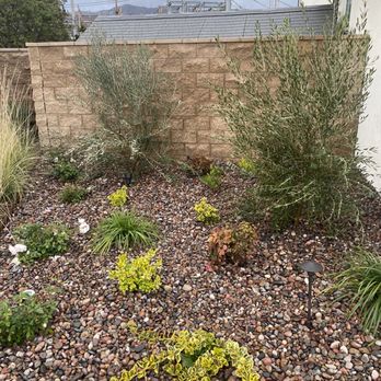 ITH Landscape - Planter with Arizona pebble, plants, olive trees, and low voltage lighting. - Landscaping Near Me