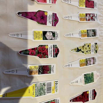 Hicks Nurseries - Nurseries & Gardening Near Me - Westbury, New York