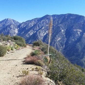 Sunset Peak Hike - At the top of Sunset Peak Trail, Mount Baldy - Hiking Near Me - Mount Baldy, California Sunset Peak Hike - At the top of Sunset Peak Trail, Mount Baldy - Hiking Near Me - Mount Baldy, California