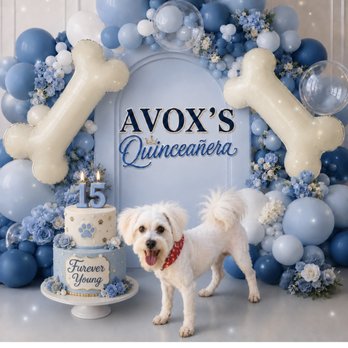 La Pawnaderia - Picture I provided of my dogs theme, that includes exact colors of his decorations and some of the decor purchased for his party. - Pet Stores Near Me - Downey, California La Pawnaderia - Picture I provided of my dogs theme, that includes exact colors of his decorations and some of the decor purchased for his party. - Pet Stores Near Me - Downey, California