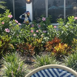 Granny's Restaurant - Beautiful
