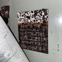 Howard Environmental - Mold inspection and testing of ac unit