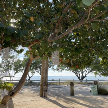 The Cleat Mia - Outdoor seating - Seafood Near Me - Key Biscayne, Florida