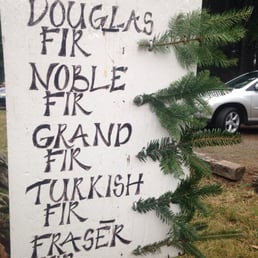 Helpful sign to ID your perfect tree! Helpful sign to ID your perfect tree!