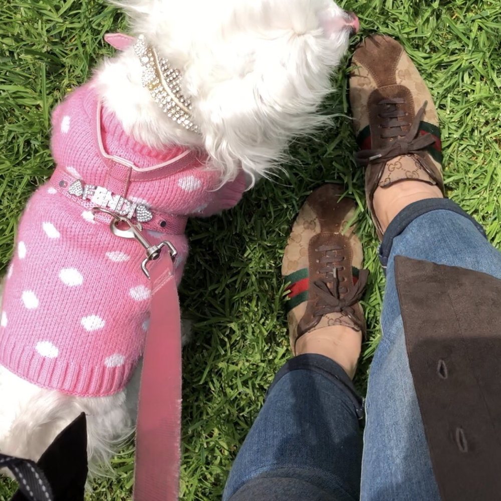 Beverly Canon Gardens - Out for a stroll with furbabe Fendi in my GUCCI sneaks - Parks Near Me - Beverly Hills, California