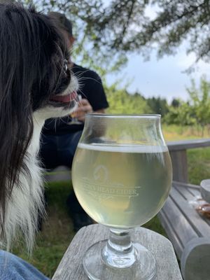 Dragon's Head Cider Orchard by null