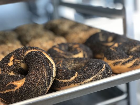 Lowcountry Fresh Market & Cafe by null