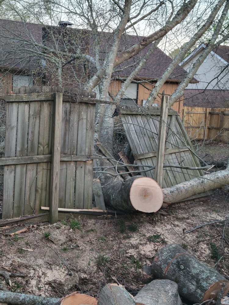 Talley Brand Landscaping Service - tree service in Little Rock, AR