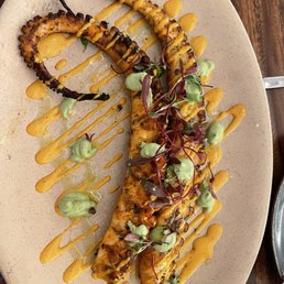 Octopus Octopus