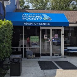 Baltimore Humane Society - The adoption center opens at noon.