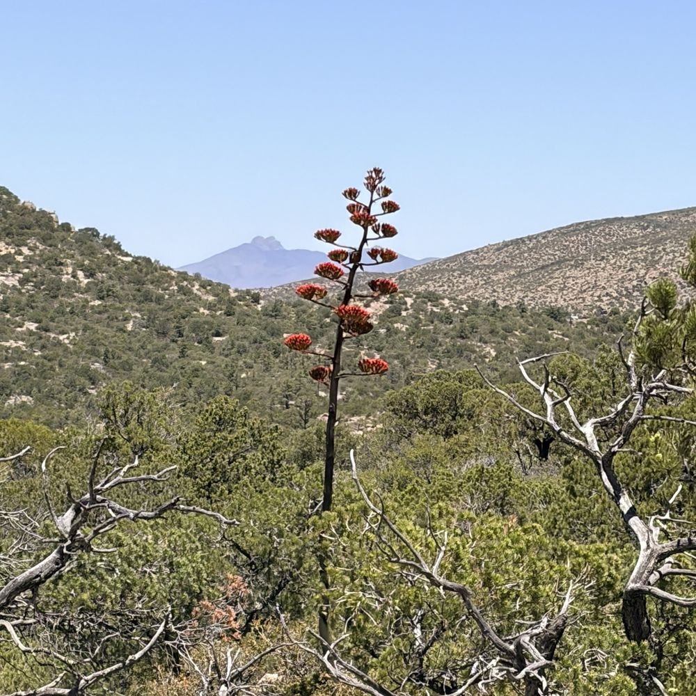 Chiricahua National Monument - Hiking Near Me - Willcox, Arizona Chiricahua National Monument - Hiking Near Me - Willcox, Arizona