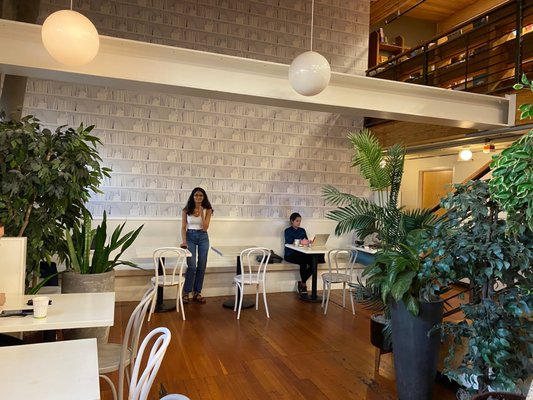 Little Oddfellows by null