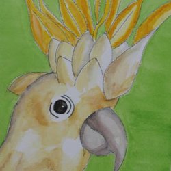 IndiTwist - Water Color