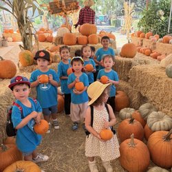 Magnolia Progressive Montessori