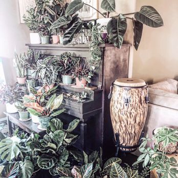 The Green Place - Nurseries & Gardening Near Me - Fullerton, California The Green Place - Nurseries & Gardening Near Me - Fullerton, California