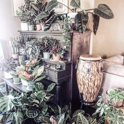 The Green Place