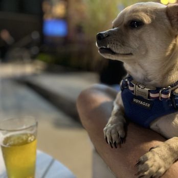 Tap That - Outdoor lounge - Beer Bar Near Me - Queens, New York Tap That - Outdoor lounge - Beer Bar Near Me - Queens, New York