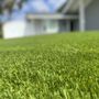 Family Turf 