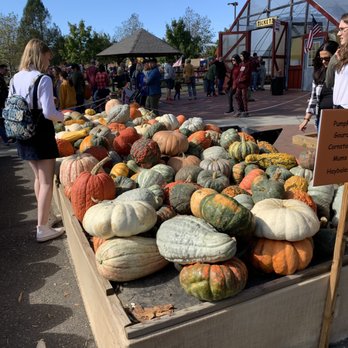 Johnson's Corner Farm - Gourds! - Fruits & Veggies Near Me - Medford, New Jersey