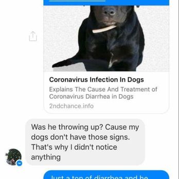 MAMA's Howling Pups - Pet Breeders Near Me