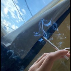 Cannavibes Dispensary Elmwood Park NJ