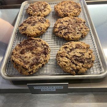 The Stadium - Coffee & Tea Near Me - Bar Harbor, Maine