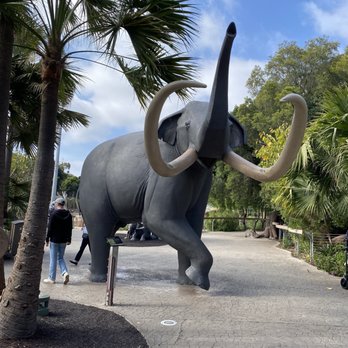 Elephant Odyssey - Zoos Near Me - San Diego, California