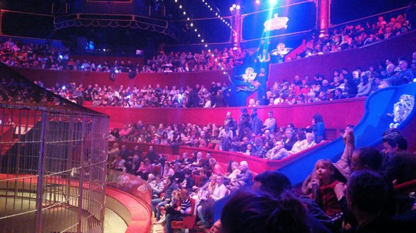 Cirque d'Hiver Bouglione by null