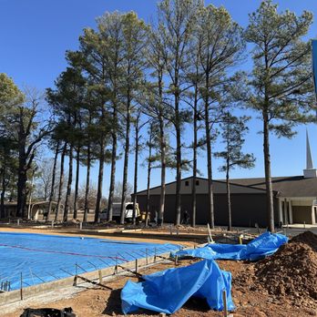 Dogwood Tree Care - Tree Services Near Me Dogwood Tree Care - Tree Services Near Me