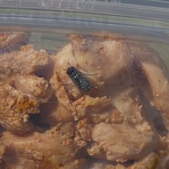 Vallarta Supermarkets - Flies - Grocery Near Me - Simi Valley, California