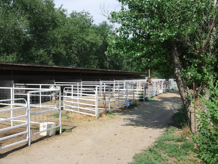 Tonaya Farm - equestrian in Albuquerque, NM