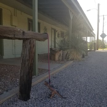 SageBrush Inn - Hithin' post for the dino - Hotels Near Me - Tombstone, Arizona