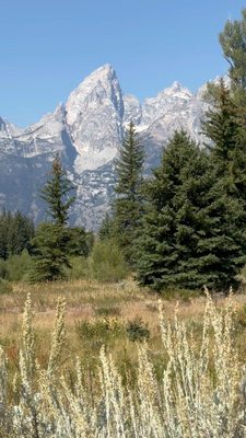 Schwabacher Landing by null
