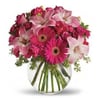 Calisi's Flowerland gift card