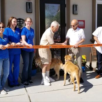 Tenafly Veterinary Center - Veterinarians Near Me - Tenafly, New Jersey