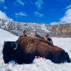 Severson Outfitters - Trophy Bull Bison
