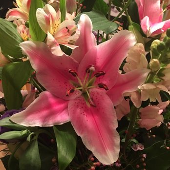 Jutta's Flowers - Day 3 and some are starting to bloom They smell wonderful and still look great. - Florists Near Me - Berkeley, California Jutta's Flowers - Day 3 and some are starting to bloom They smell wonderful and still look great. - Florists Near Me - Berkeley, California