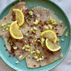 Opera Viva - Vermentino marinated fish carpaccio