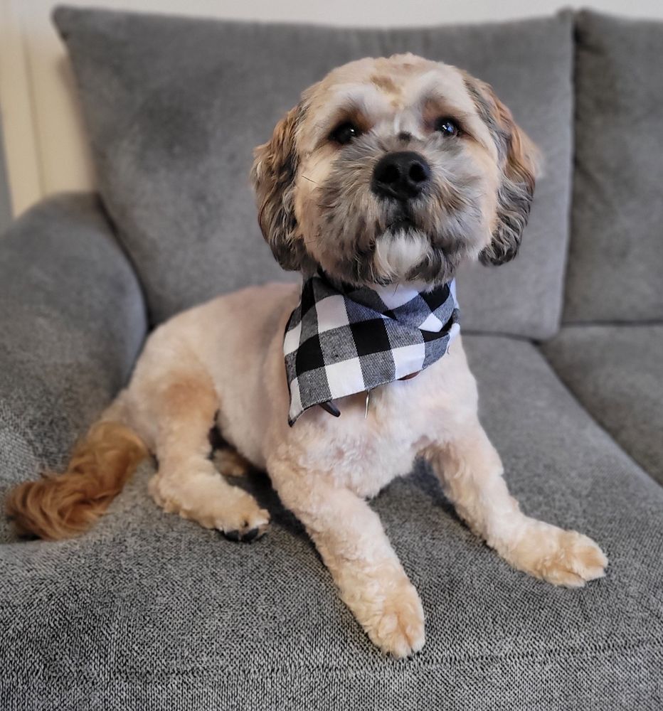 o Jupiter Florida Real Estate For Sale