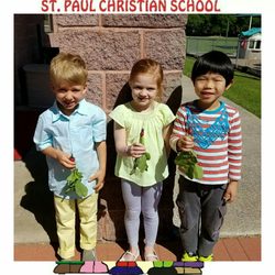 St Paul Christian School - Kindergarten harvested the radishes they planted before Spring Break.